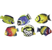 Sechs dekorative Zierfische