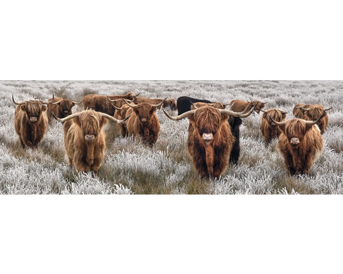 Tableau sur toile Troupeau de buffles 150x50 cm Tableau sur toile Troupeau de buffles 150x50 cm