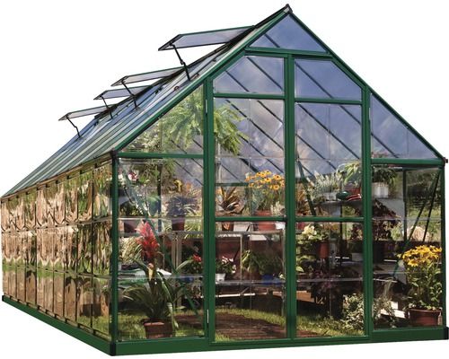 Gewächshaus mit Pflanzen auf Regalen