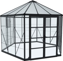 Serre Palram – Canopia Oasis 12 FT avec cadre de fondation, fenêtre à lamelle, gouttière 316 x 363 cm anthracite