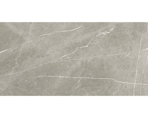 Feinsteinzeug Wand- und Bodenfliese Always Taupe Natural 60x120 cm Feinsteinzeug Wand- und Bodenfliese Always Taupe Natural 60x120 cm