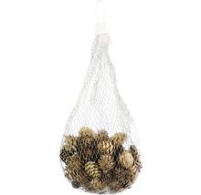 Pommes de pin dans un filet pour la décoration