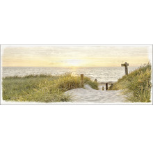 Décoration : oyat sur un passage de plage avec vue sur la mer