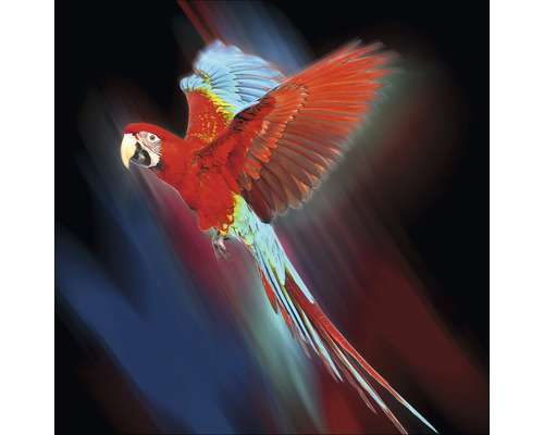 Tableau en verre Red Parrot 20x20 cm