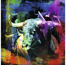Glasbild Colorful Bull Head 50x50 cm