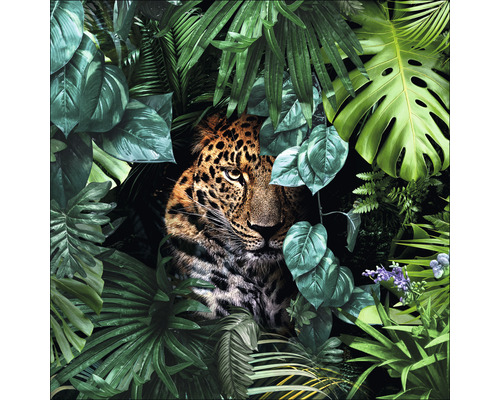 Tableau en verre Jaguar in the jungle 20x20 cm