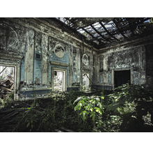 Photo intérieure d''une pièce abandonnée avec de la végétation et un plafond endommagé
