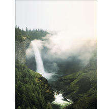 Vue d''une cascade entourée d''arbres et de rochers