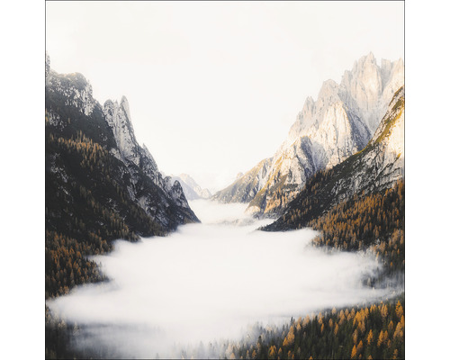 Paysage avec montagnes et brouillard