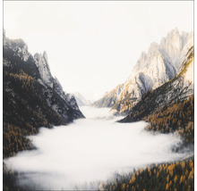 Vallée avec arbres et montagnes dans les nuages