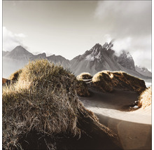 Paysage de dunes avec herbe et montagnes