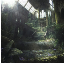 Intérieur avec architecture en pierre, escaliers, plantes et bassin