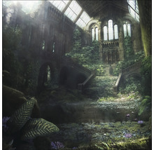 Bâtiment abandonné avec escalier et végétation
