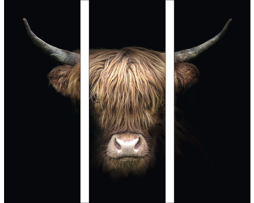 Tableau en verre Highland Cattle VIII set de 3 3x 30x80 cm