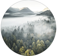 Paysage forestier dans le brouillard avec des montagnes en arrière-plan