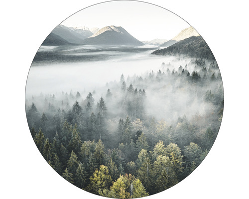 Paysage naturel avec forêt et montagnes dans le brouillard