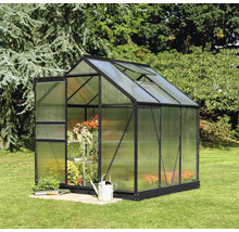 Serre en polycarbonate avec porte ouverte dans un jardin.