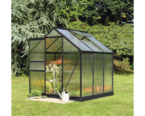 Gewächshaus Halls Popular 66 Polycarbonat 4 mm 193 x 319 cm schwarz Gewächshaus aus Polycarbonat mit offenstehender Tür im Garten.