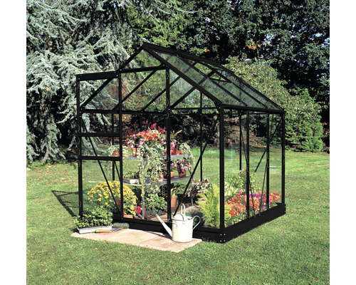Gewächshaus Halls Popular 66 Sicherheitsglas 3 mm 193 x 319 cm schwarz Gewächshaus mit Pflanzen und Gartenzubehör im Garten