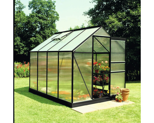 Gewächshaus Halls Popular 86 Polycarbonat 4 mm 193 x 257 cm schwarz Gewächshaus mit Blumenregal im Garten