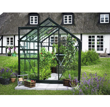 Serre avec des plantes dans le jardin.