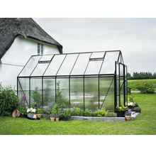 Gewächshaus Halls Magnum 148 Polycarbonat 6 mm 257 x 446 cm schwarz