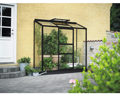 Anlehngewächshaus Halls Altan 3 Blankglas 3 mm 194 x 69 cm schwarz Gewächshaus mit Pflanzen auf einer Terrasse
