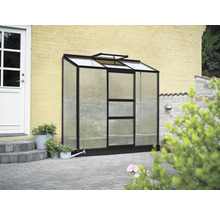 Gewächshaus mit Polycarbonatplatten und einem Dachfenster vor einer Hauswand.
