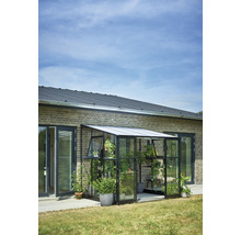 Gewächshaus aus Glas und Metall an einer Hauswand mit Pflanzen