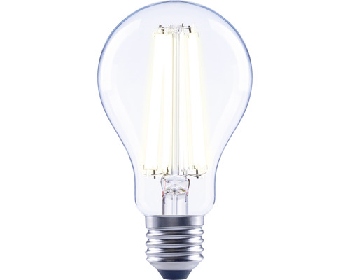 Ampoule LED claire avec culot E27