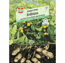 Paquet de graines d''arachide pour sa propre culture