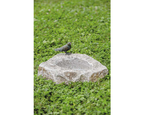 Figurine de jardin Rottenecker abreuvoir pour oiseaux et oiseau en bronze sur pierre en granite