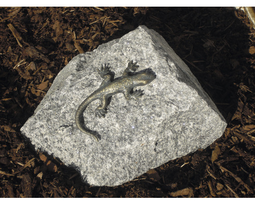 Figurine de jardin Rottenecker lézard sur granite
