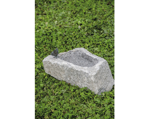 Abreuvoir à oiseaux en pierre avec papillon dans une prairie