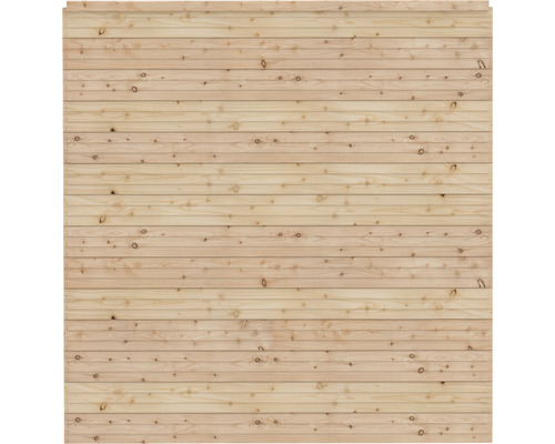 Élément principal Osmo Juel 175 x 185 cm mélèze nature Façade en bois avec planches à rainure et languette