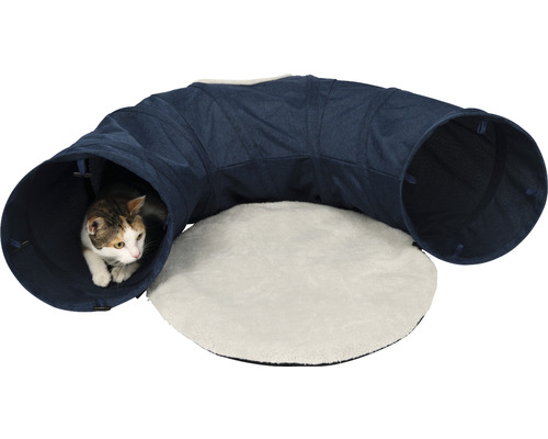 Katze im Katzentunnel mit Liegefläche
