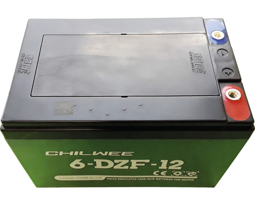 Batterie de rechange 12V pour ZI-EWB500