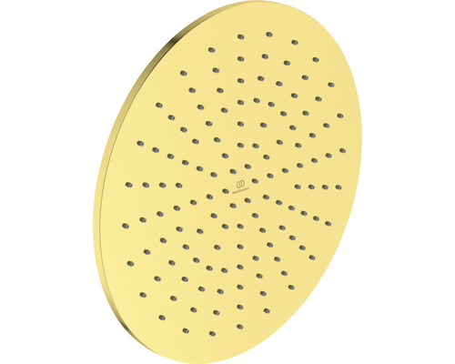 Runde Kopfbrause aus Metall mit Wasserdüsen und Ideal Standard Logo