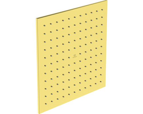 Quadratischer Duschkopf aus Metall mit Wasserdüsen und American Standard Logo