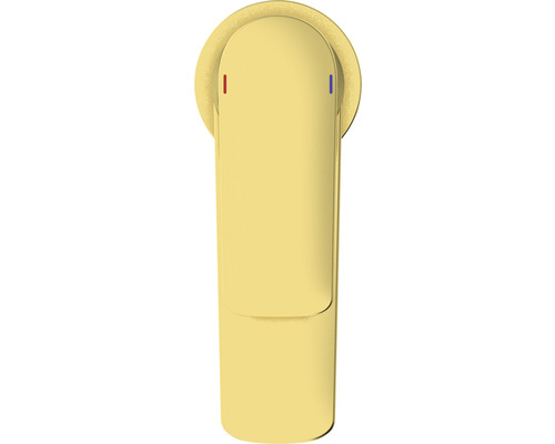 Image d''un robinet unique avec levier