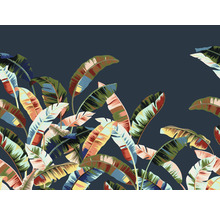 Papier peint avec motif de feuilles de bananier
