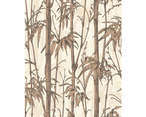 Papier peint intissé 484878 Florentine III bambou marron