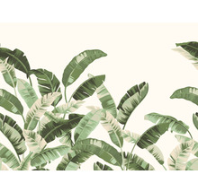 Papier peint panoramique intissé 485929 Florentine III feuilles de bananier vert 8 parties 300 x 400 cm