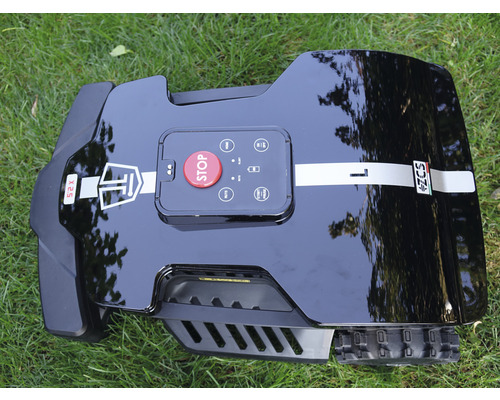 Schwarzer Rasenroboter auf Rasen