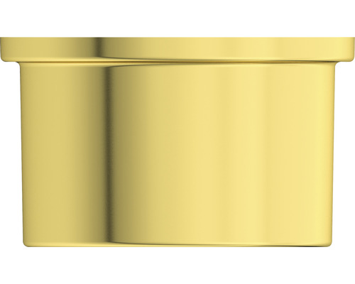 Goldener Badezimmer-Seifenspender zur Wandmontage