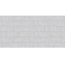 Carreaux muraux rectangulaires aspect pierre