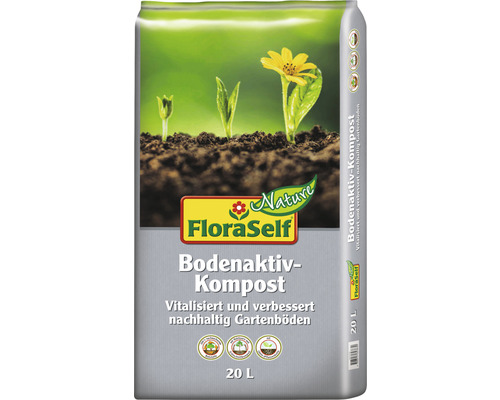 Silberkörbchen FloraSelf - brownii Topf 11 HORNBACH Luxemburg cm Ø Calocephalus