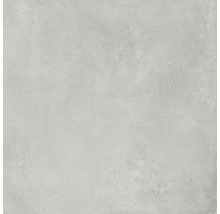 Feinsteinzeug Wand- und Bodenfliese Cortina light grey 60 x 60 cm