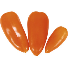 Drei Gemüsepaprika