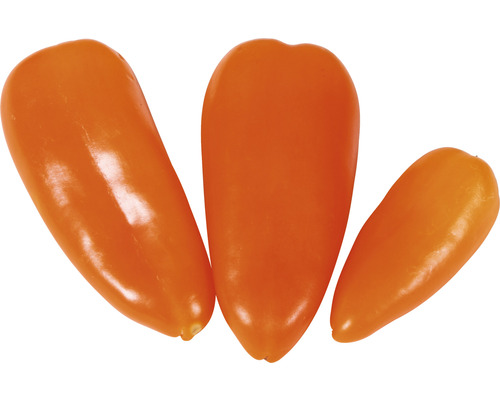 Drei Gemüsepaprika